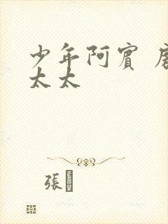 少年阿宾 房东太太