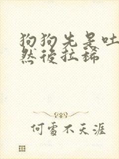 狗狗先是吐黄水然后拉稀