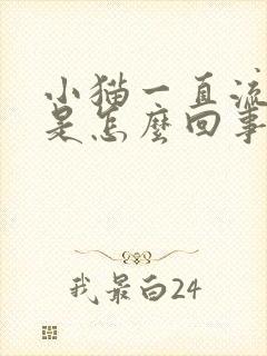 小猫一直流口水是怎么回事