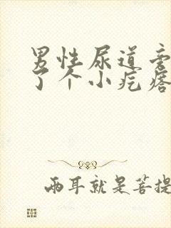 男性尿道旁边长了个小疙瘩怎么回事