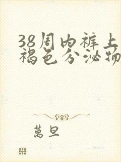 38周内裤上有褐色分泌物怎么回事