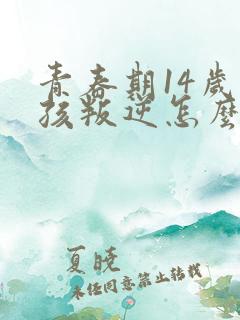 青春期14岁男孩叛逆怎么办