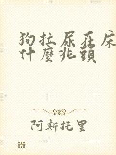 狗拉尿在床上是什么兆头