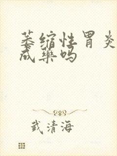 萎缩性胃炎有中成药吗