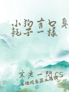 小狗有口臭像死耗子一样