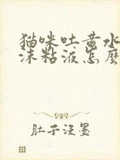 猫咪吐黄水有泡沫粘液怎么治疗