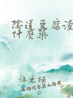 阴道豆腐渣痒吃什么药