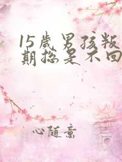 15岁男孩叛逆期总是不回家怎么办