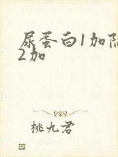 尿蛋白1加隐血2加