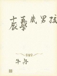 十五岁男孩叛逆厌学