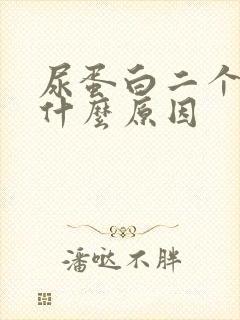 尿蛋白二个加号什么原因