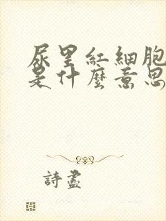 尿里红细胞偏高是什么意思