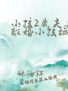 小孩2岁夫妻要离婚小孩抚养权归谁呢