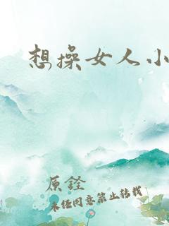 想操女人小说