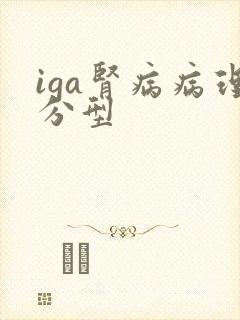 iga肾病病理分型