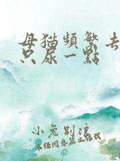 母猫频繁去厕所只尿一点