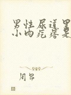 男性尿道里长个小肉疙瘩是怎么回事