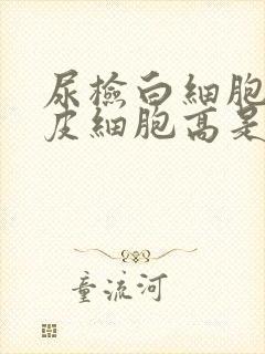 尿检白细胞和上皮细胞高是怎么回事