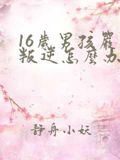 16岁男孩严重叛逆怎么办