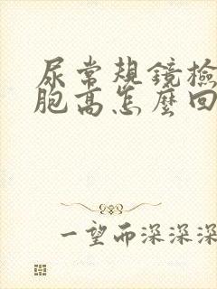 尿常规镜检白细胞高怎么回事