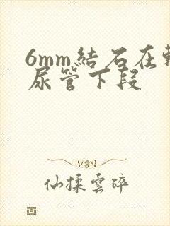 6mm结石在输尿管下段