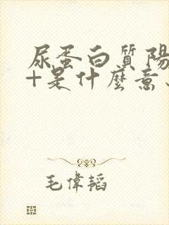 尿蛋白质阳性3+是什么意思