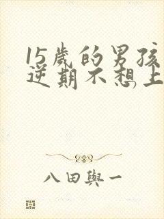 15岁的男孩叛逆期不想上学