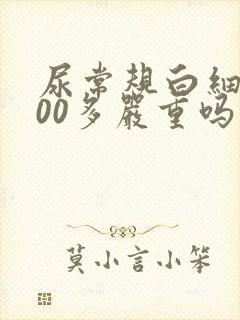 尿常规白细胞600多严重吗