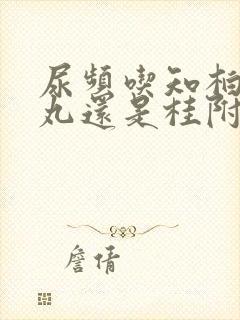 尿频吃知柏地黄丸还是桂附地黄丸