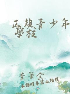 正规青少年叛逆 学校