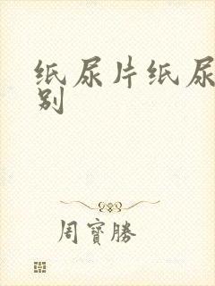 纸尿片纸尿裤区别