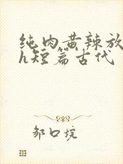 纯肉黄辣放荡高h短篇古代