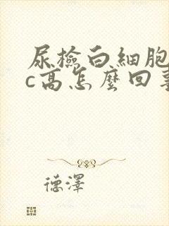 尿检白细胞wbc高怎么回事