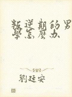 叛逆期的男孩厌学怎么办