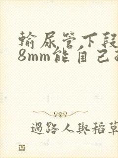 输尿管下段结石8mm能自己排出来吗