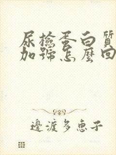 尿检蛋白质2个加号怎么回事