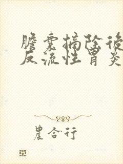 胆囊摘除后胆汁反流性胃炎