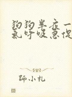 狗狗半夜一直喘气呼吸急促