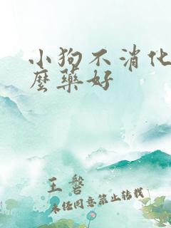 小狗不消化吃什么药好