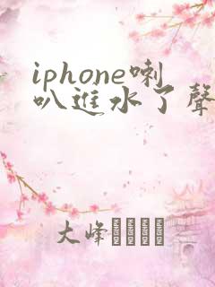 iphone喇叭进水了声音沙哑怎么办