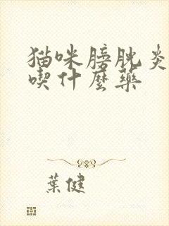 猫咪膀胱炎尿血吃什么药