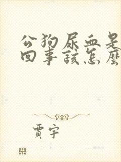 公狗尿血是怎么回事该怎么治疗