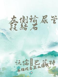 左侧输尿管膀胱段结石