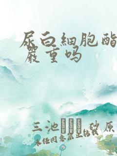 尿白细胞酯酶1 严重吗