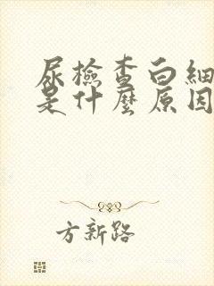 尿检查白细胞高是什么原因