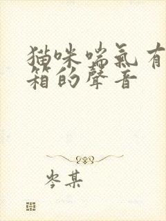 猫咪喘气有拉风箱的声音