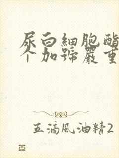 尿白细胞酯酶2个加号严重吗