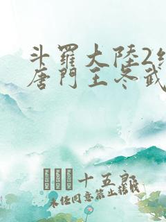 斗罗大陆2绝世唐门王冬武魂