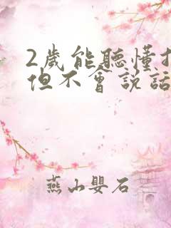 2岁能听懂指令但不会说话