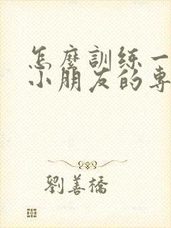 怎么训练一年级小朋友的专注力